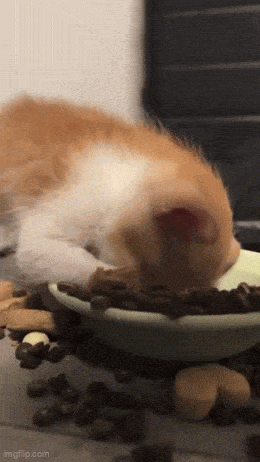 Acid GIFs, July 4 (25 gifs) Acid GIFs, July 4 (25 gifs)