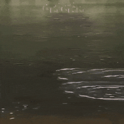 Acid GIFs, July 4 (25 gifs) Acid GIFs, July 4 (25 gifs)