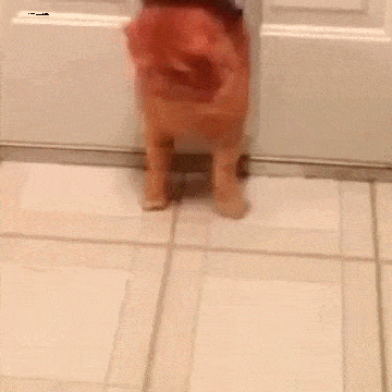 Acid GIFs, July 4 (25 gifs) Acid GIFs, July 4 (25 gifs)