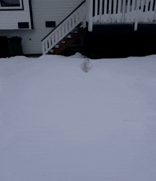 Acid GIFs, July 4 (25 gifs) Acid GIFs, July 4 (25 gifs)