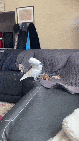 Acid GIFs, July 4 (25 gifs) Acid GIFs, July 4 (25 gifs)