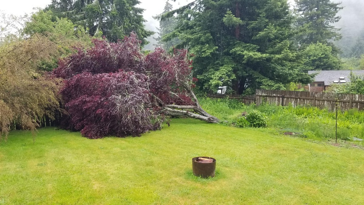 Bad Days Happen (21 pics)