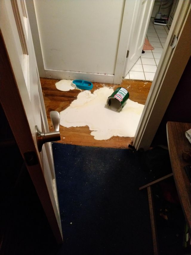 Bad Days Happen (21 pics)