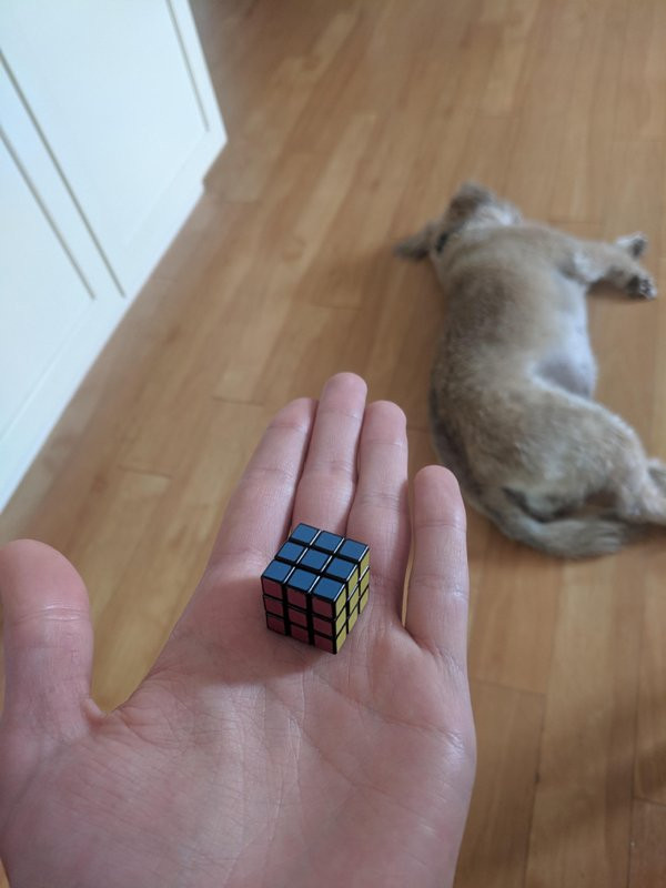 Very Small Things (16 pics)