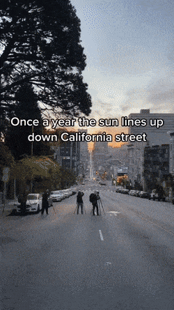 Acid GIFs, July 7 (25 gifs) Acid GIFs, July 7 (25 gifs)