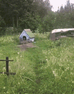Acid GIFs, July 7 (25 gifs) Acid GIFs, July 7 (25 gifs)