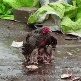 Acid GIFs, July 7 (25 gifs) Acid GIFs, July 7 (25 gifs)