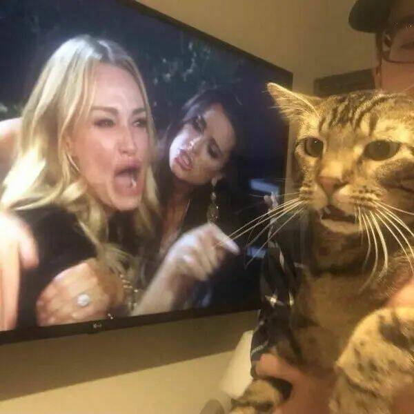 Daily Pictures. Part 1 (57 pics)
