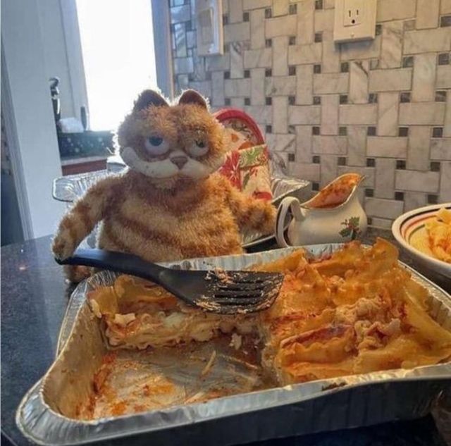 What Is Going On Here? (29 pics)