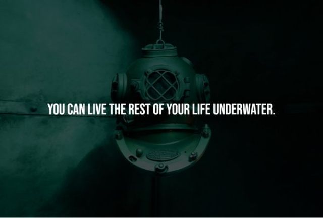 Creepy Facts (14 pics)