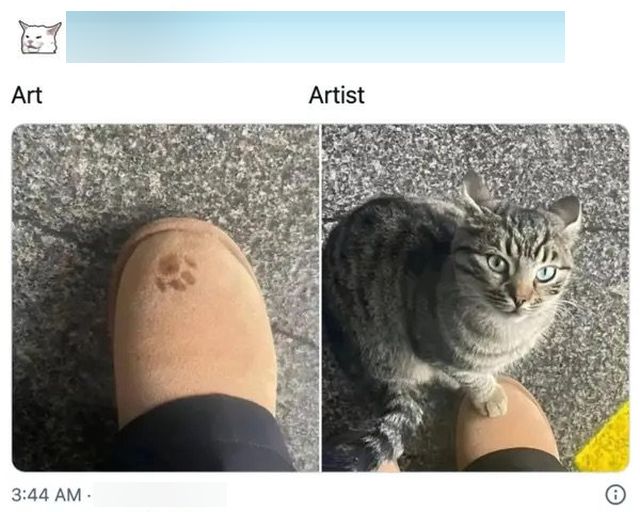 Photos For Cat Lovers (29 pics)