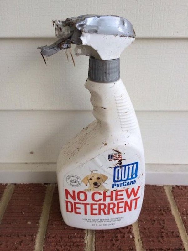 Bad Days Happen (21 pics)