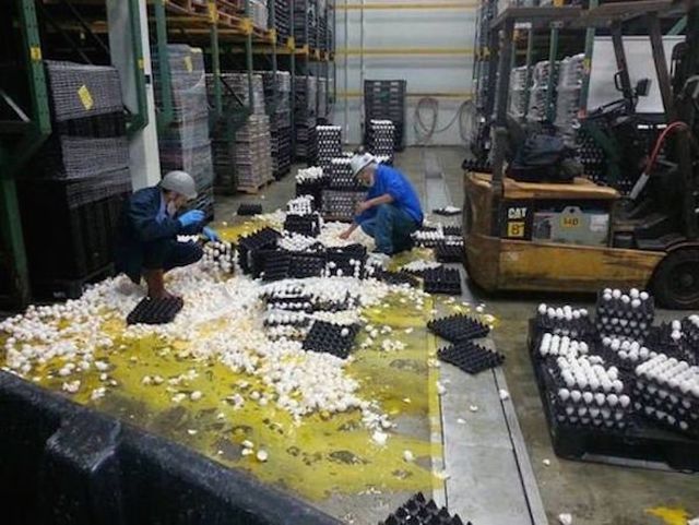 Bad Days Happen (21 pics)