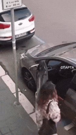 Acid GIFs, July 8 (25 gifs) Acid GIFs, July 8 (25 gifs)