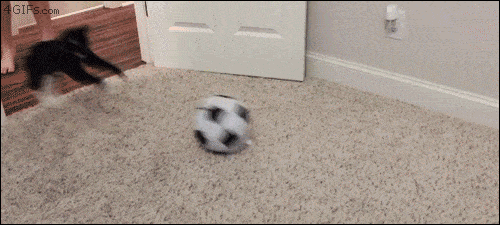 Acid GIFs, July 8 (25 gifs)