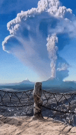 Acid GIFs, July 8 (25 gifs) Acid GIFs, July 8 (25 gifs)
