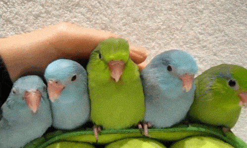 Acid GIFs, July 8 (25 gifs) Acid GIFs, July 8 (25 gifs)