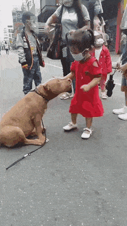 Acid GIFs, July 8 (25 gifs) Acid GIFs, July 8 (25 gifs)