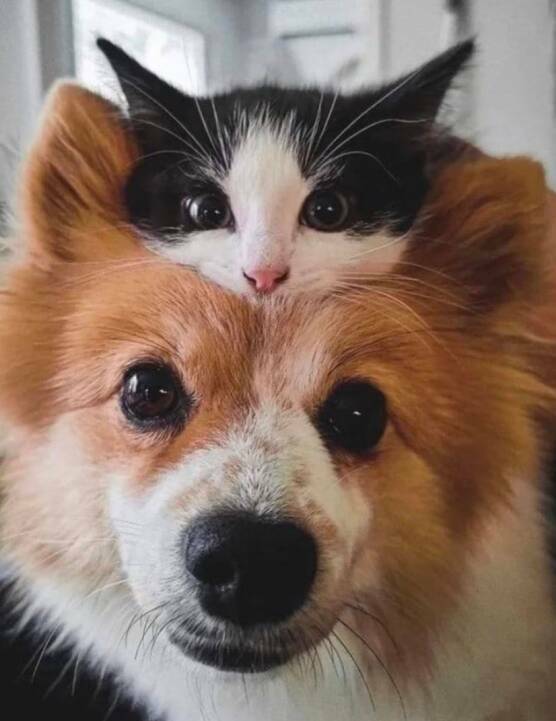 Daily Pictures. Part 1 (58 pics)
