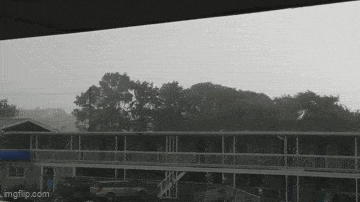 Acid GIFs, July 9 (25 gifs)