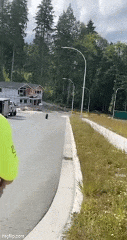 Acid GIFs, July 9 (25 gifs)