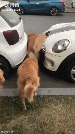Acid GIFs, July 9 (25 gifs)