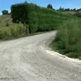 Acid GIFs, July 9 (25 gifs) Acid GIFs, July 9 (25 gifs)