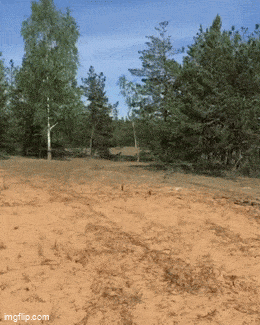 Acid GIFs, July 9 (25 gifs) Acid GIFs, July 9 (25 gifs)