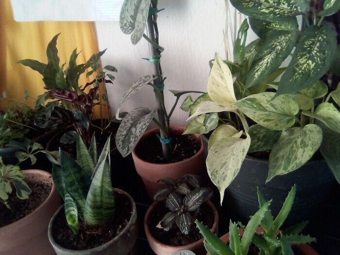 Cool Collections (20 pics)