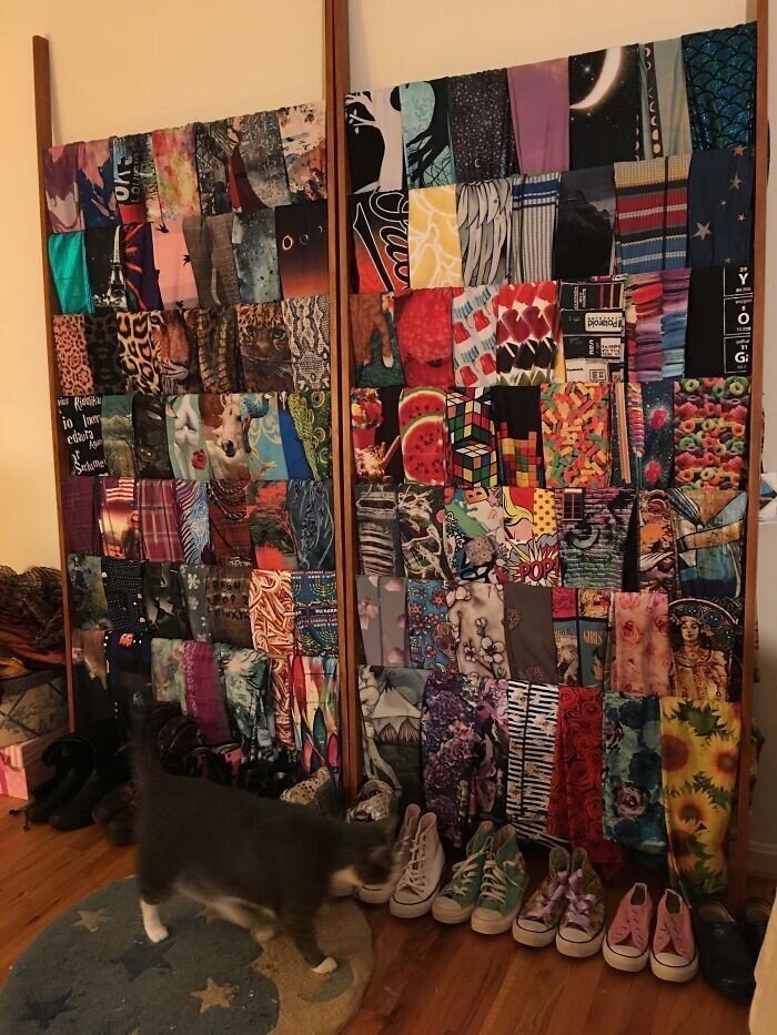 Cool Collections (20 pics)