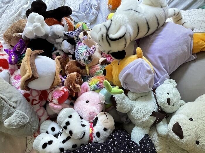 Cool Collections (20 pics)