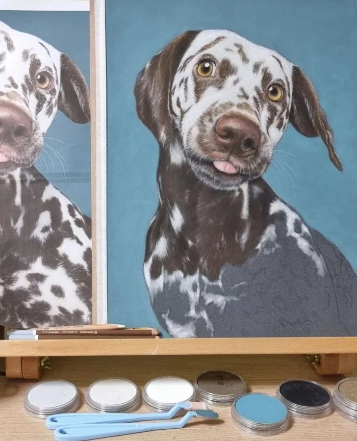 Talented People (23 pics)