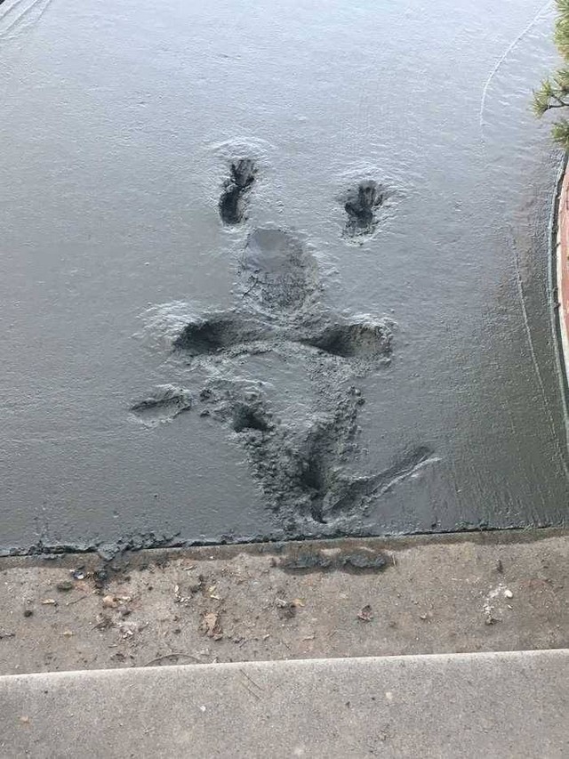 Bad Days Happen (25 pics)