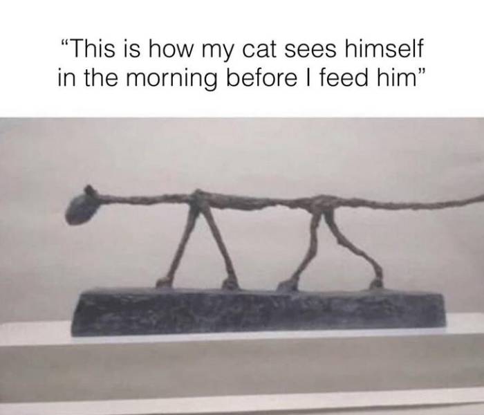 Daily Pictures. Part 2 (56 pics)