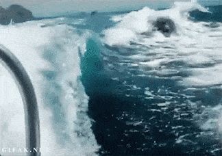 Acid GIFs, July 10 (25 gifs) Acid GIFs, July 10 (25 gifs)