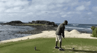 Acid GIFs, July 10 (25 gifs) Acid GIFs, July 10 (25 gifs)