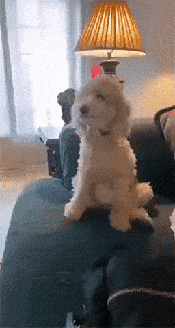 Acid GIFs, July 10 (25 gifs)