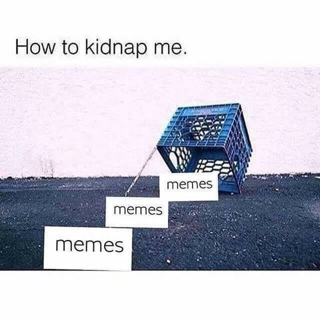 Funny Memes (35 pics)