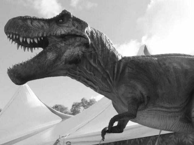 Fascinating Facts About Dinosaurs (17 pics)