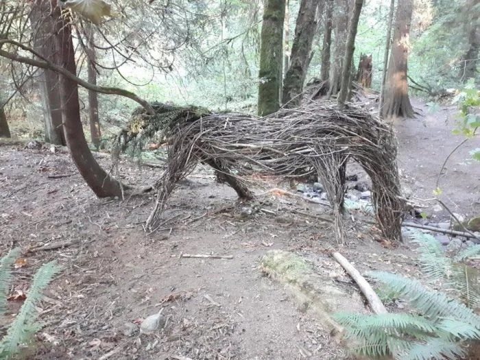 Weird Finds In Forests (18 pics)