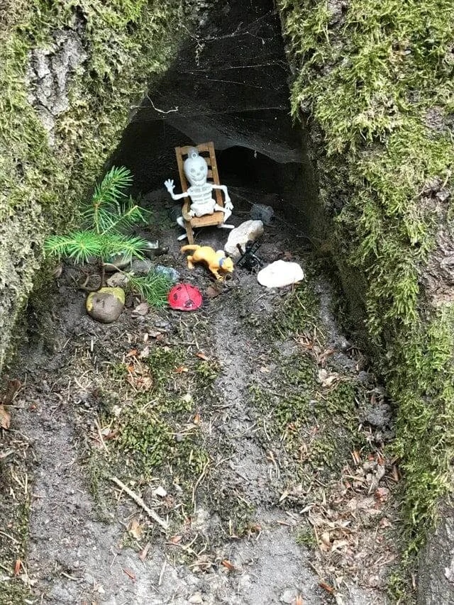 Weird Finds In Forests (18 pics)