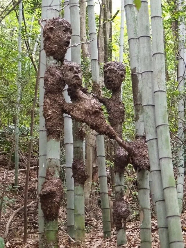 Weird Finds In Forests (18 pics)
