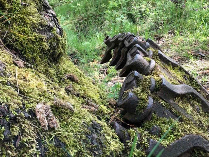 Weird Finds In Forests (18 pics)