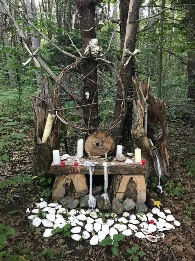 Weird Finds In Forests (18 pics)