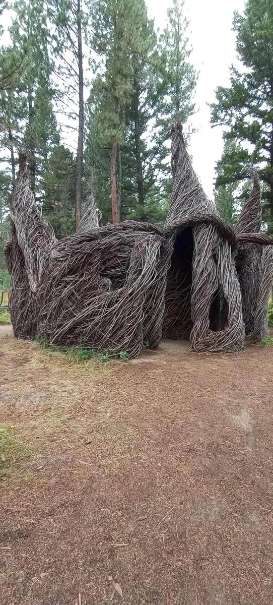 Weird Finds In Forests (18 pics)