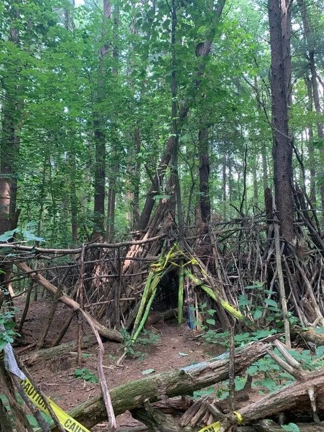 Weird Finds In Forests (18 pics)