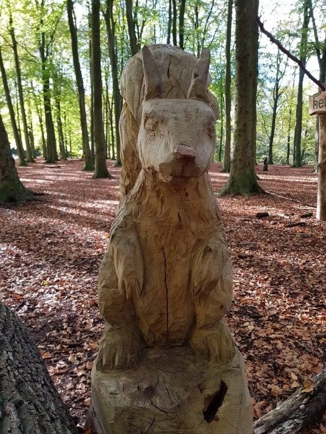 Weird Finds In Forests (18 pics)
