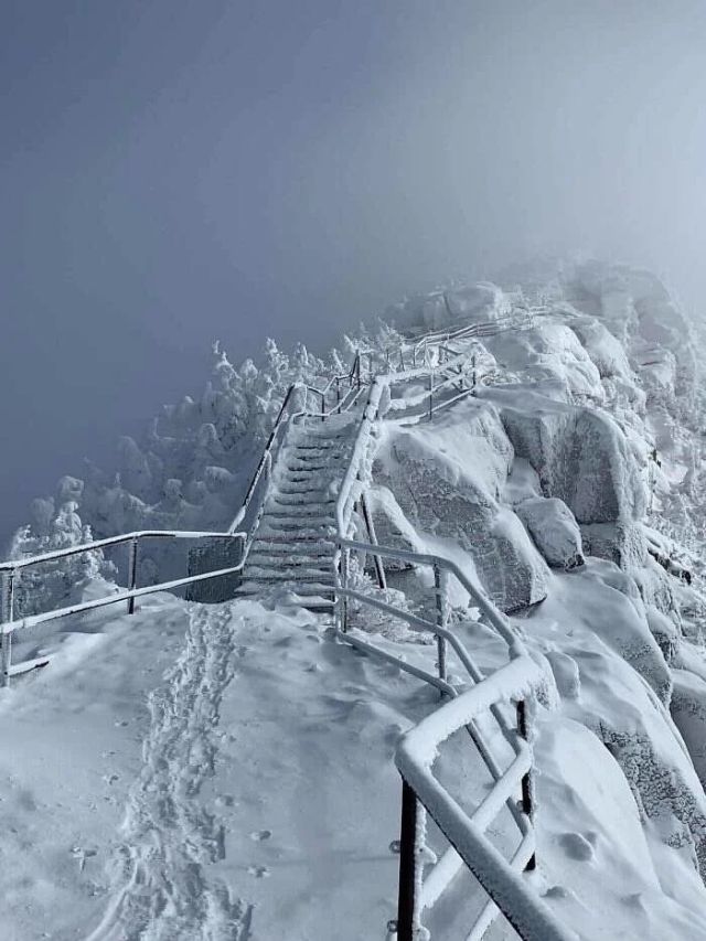 Dangerous Stairs (16 pics)