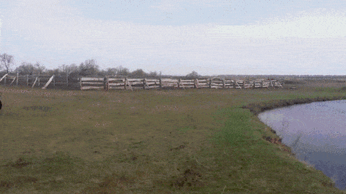 Acid GIFs, July 11 (25 gifs) Acid GIFs, July 11 (25 gifs)