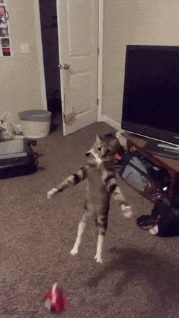 Acid GIFs, July 11 (25 gifs) Acid GIFs, July 11 (25 gifs)
